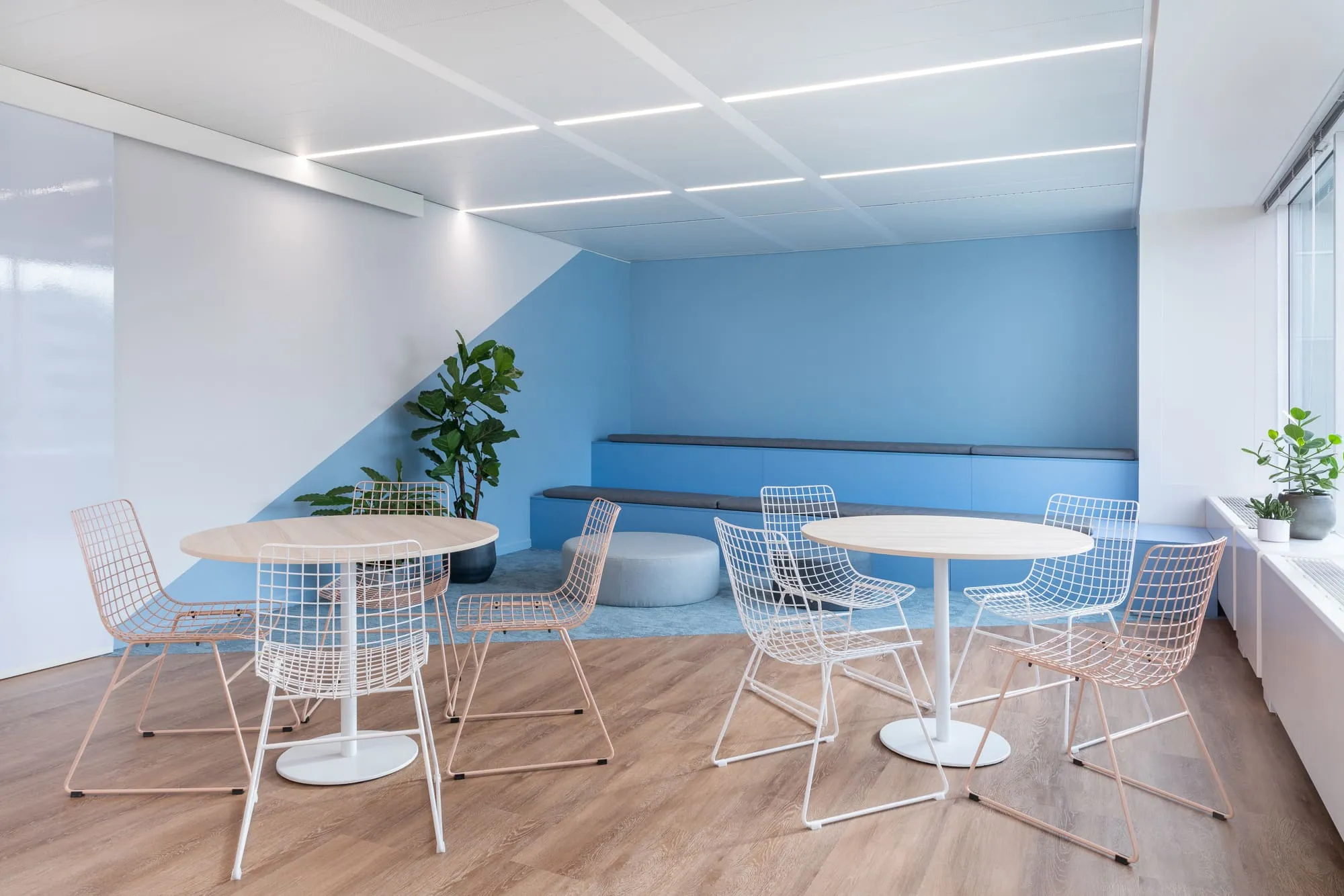 A modern workspace featuring blue walls and stylish furniture